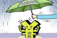 存保推出 进一步打开降息空间